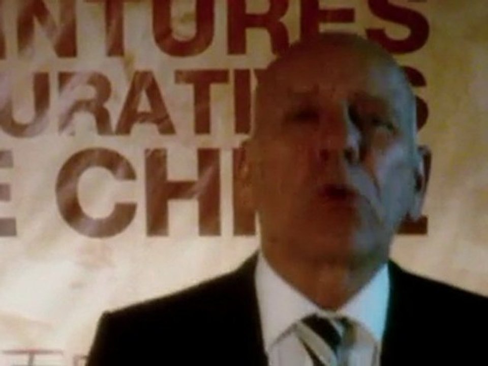 Exposition Internationale  "Jinling" au Carrousel du Louvre 60 peintres chinois reconnus à l'honneur