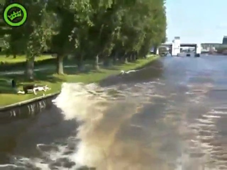 Das ist die perfekte Welle