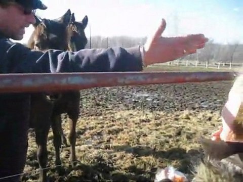 FLG - Sous toutes les coutures 21