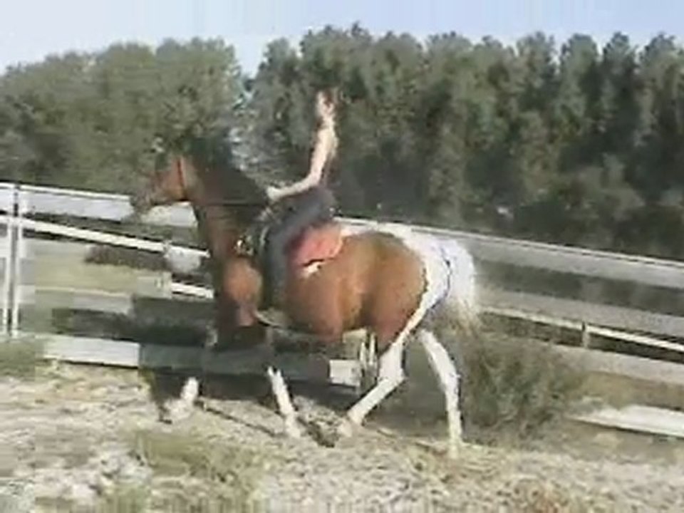tatiana1