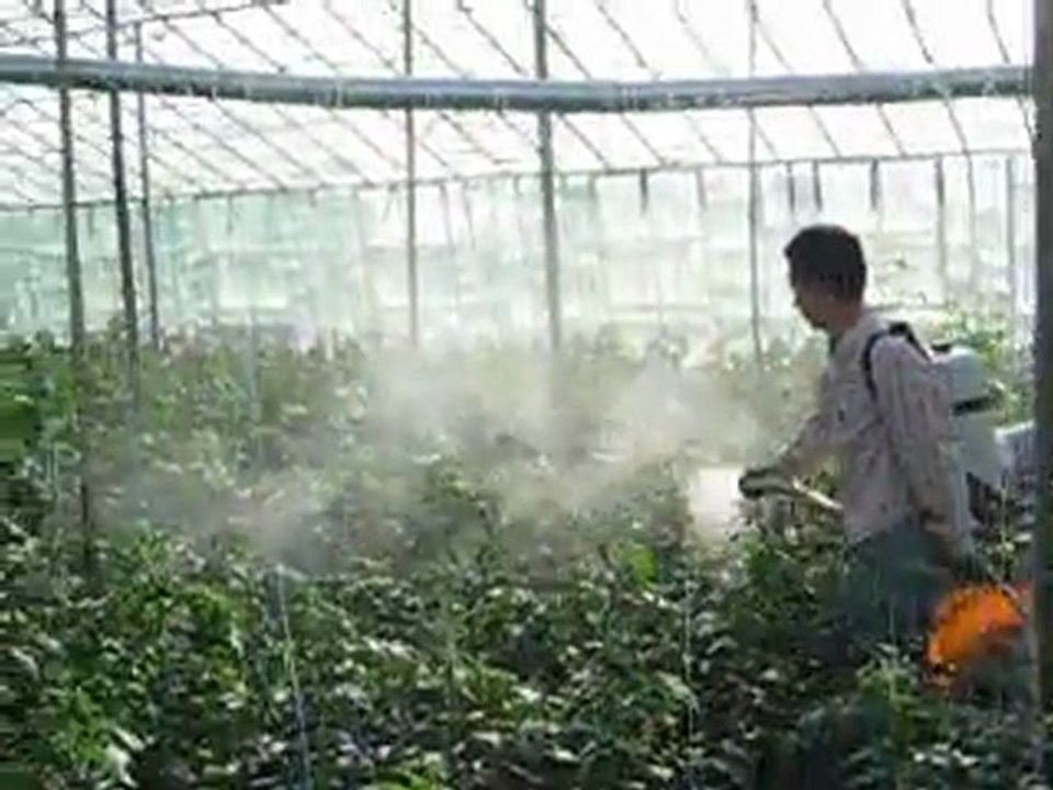 seralarda ilaçlama yapılırken 6