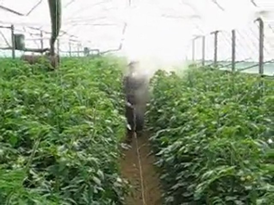 aksu-ece-10 kullanım alanları