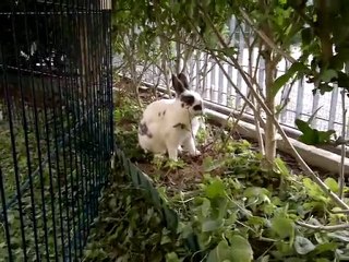 Lilly........ che fame!!