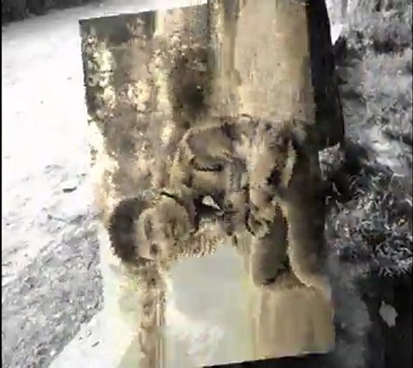 HayaLimdesin [ KLip ] Esenyurt Attack Dj Murat