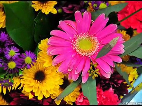 А я все дивлюся, де моя Маруся (Marusia) ♥ Ukrainian folk song by Lyonok