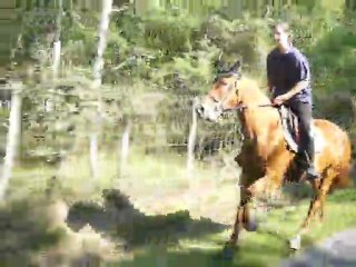 Saga promenade Août 2011