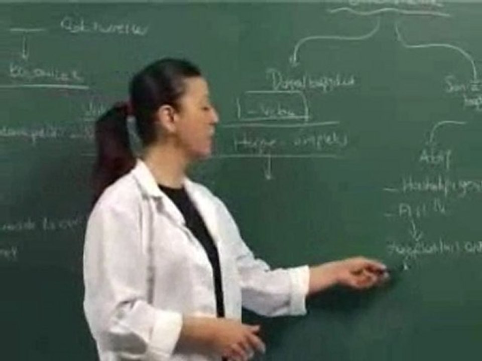 Tek hücreliler koloniler ve bağışıklık | www.eBiyoloji.Org