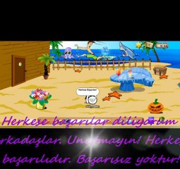 Tipeez Yazlık Ev Yarışması