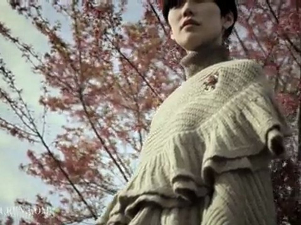 Ralph Lauren  Fall 2010 Collections - LC & NW