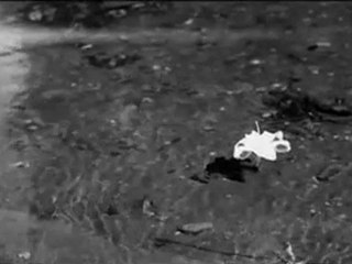 Sadem ~ Soner SARIKABADAYI