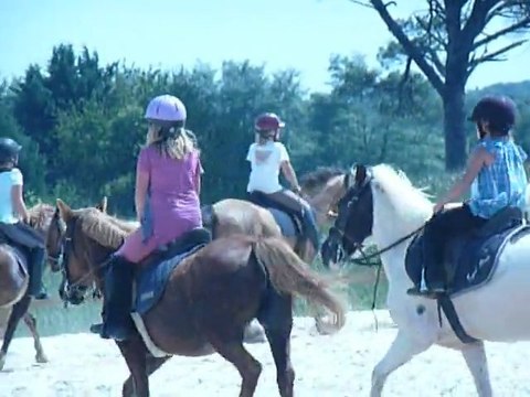 P1440780 ECURIES ANKARIA - HABAS - LANDES