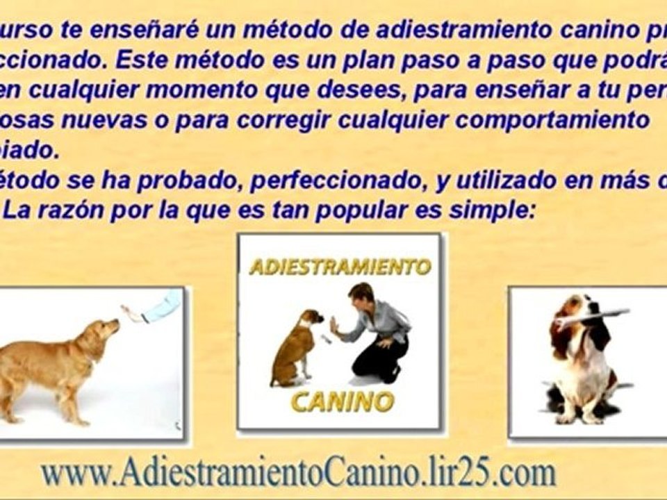 curso adiestramiento canino - como adiestrar un perro - como adiestrar a un cachorro