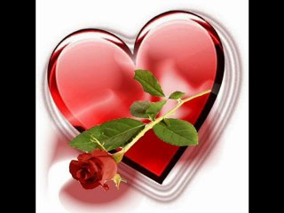 sempre vou te amar forrozãomaisvoce