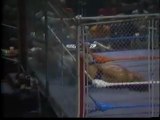 Andre the Giant vs. Big John Studd Steel Cage Match