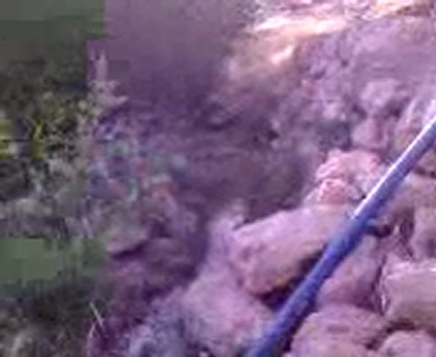 Video0005
