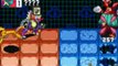 MegaMan Battle Network 6 Cybeast Gregar Walkthrough Part 56 PavilionComp 4