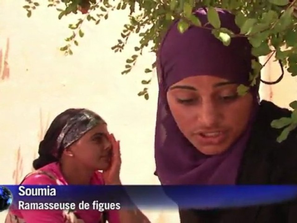 MMV-arabic-L'huile de figue de barbarie, un trésor pour le ...