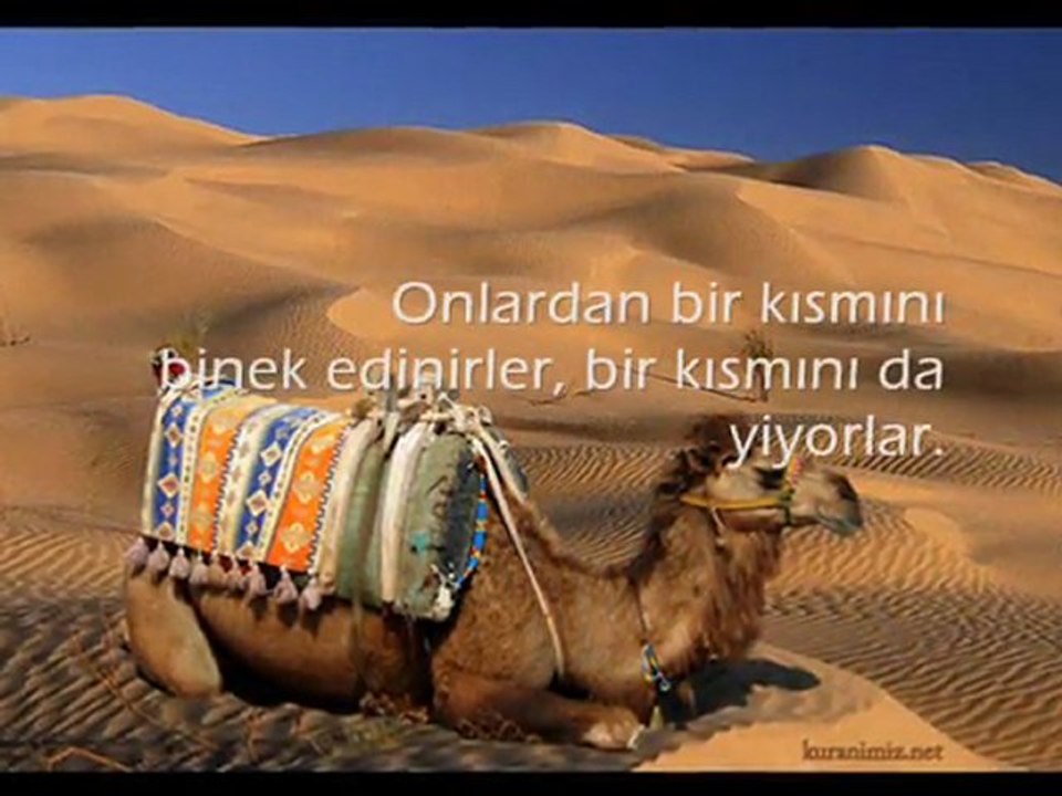 Yasin Suresi 69-73. Ayetler - Okuyan: Abdussamed - Meal: Feyz'ül Furkan