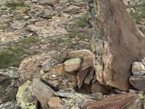 VACANCES 2011 - 11/07 - Pic Nègre + Pic de Monturull