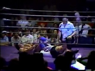 Rick Martel vs. Jerry Lawler