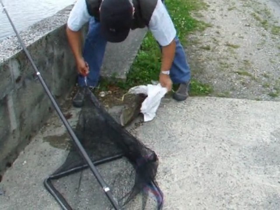 pèche saumon seine 08 2011