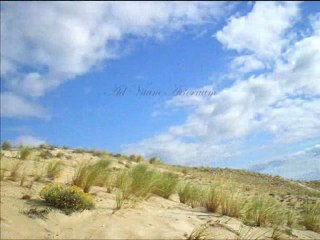 Everytime - Heather Nova