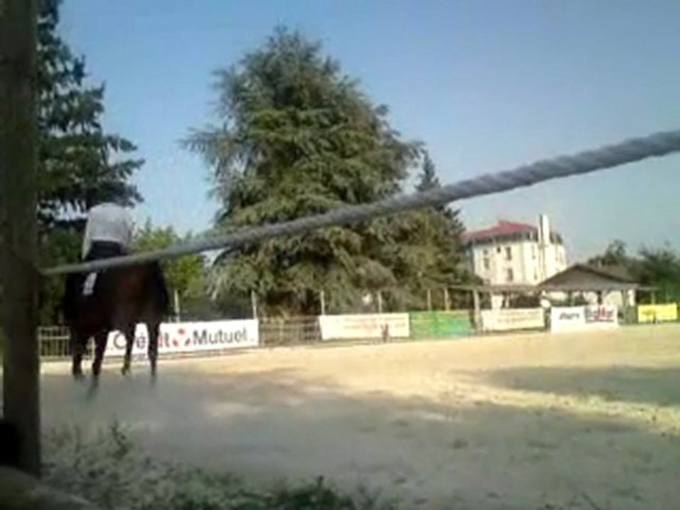 Concours national des races américaines Montrond les Bains 20/21 août 2011