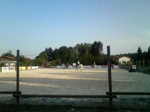 Concours national des races américaines Montrond les Bains 20/21 août 2011