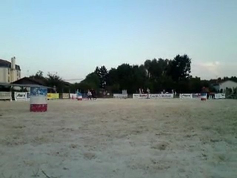 Concours national des races américaines Montrond les Bains 20/21 août 2011