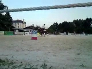 Concours national des races américaines Montrond les Bains 20/21 août 2011