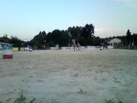 Concours national des races américaines Montrond les Bains 20/21 août 2011