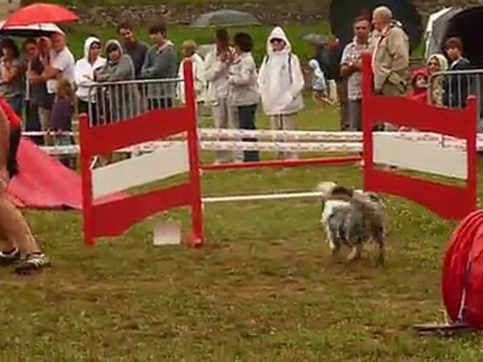 Concours Mende 14.08.11 jumping
