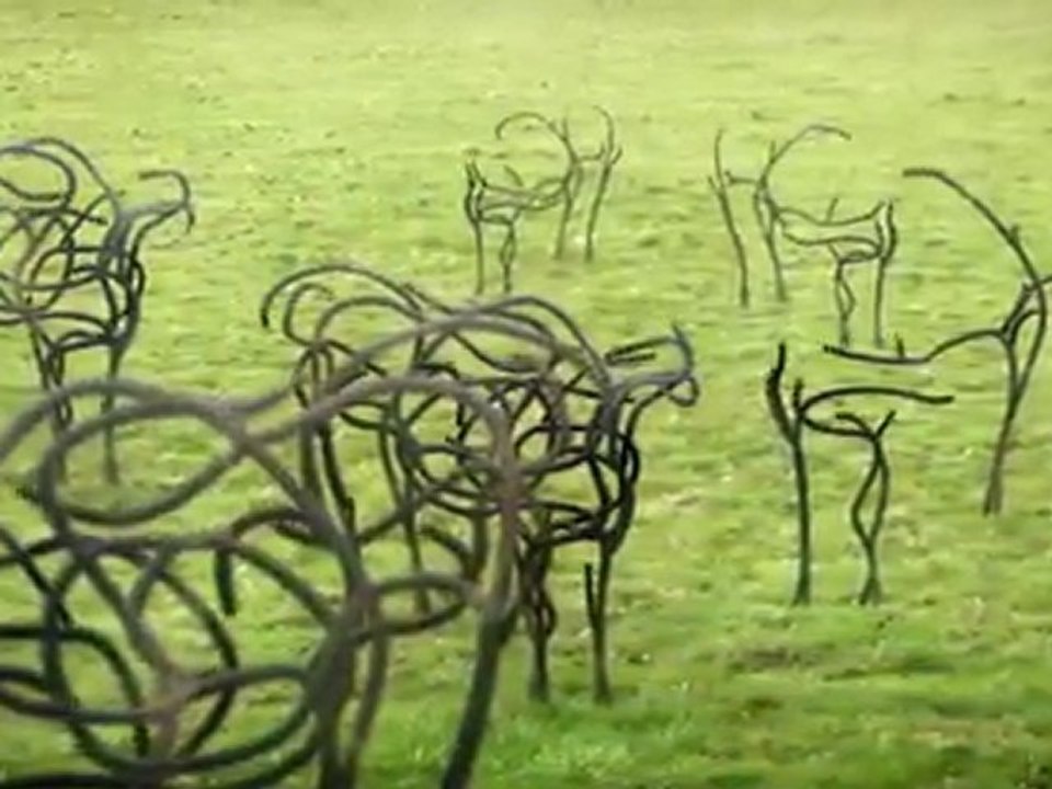 Cows  Cows  Fight The Power !!