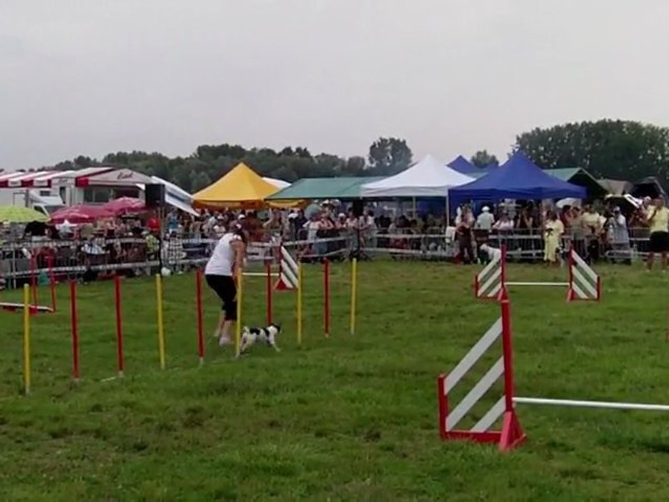 démo agility expo hoerdt