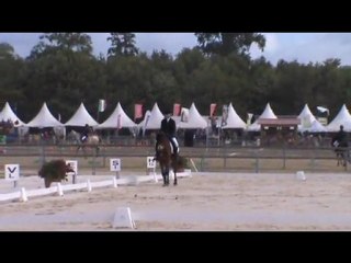 Cela Fait deja Deuux ans que nous fesons du CCE en Poney 3 . .