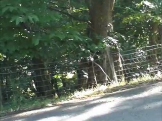 sortie de  route arnaud augoyard rouergue 2011