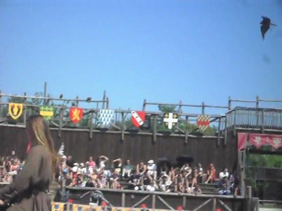 Zoo D'Amnéville: Spectacle Des Rapaces 2