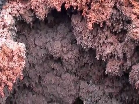 Vacances Réunion 2011 - Episode Piton de la Fournaise et Salazie