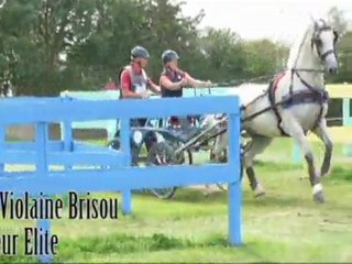 Concours national d'attelage