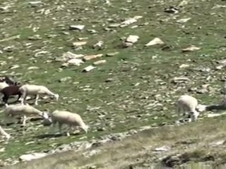 VACANCES 2011 - 15/07 - Pic de Font Blanca