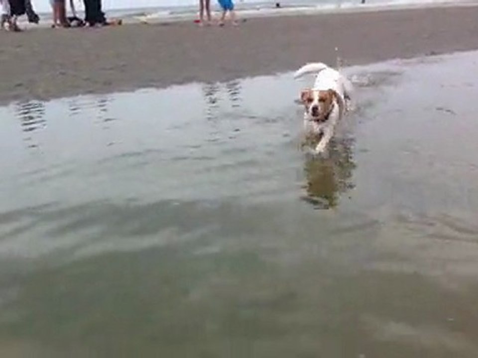 chloe a bray dunes1