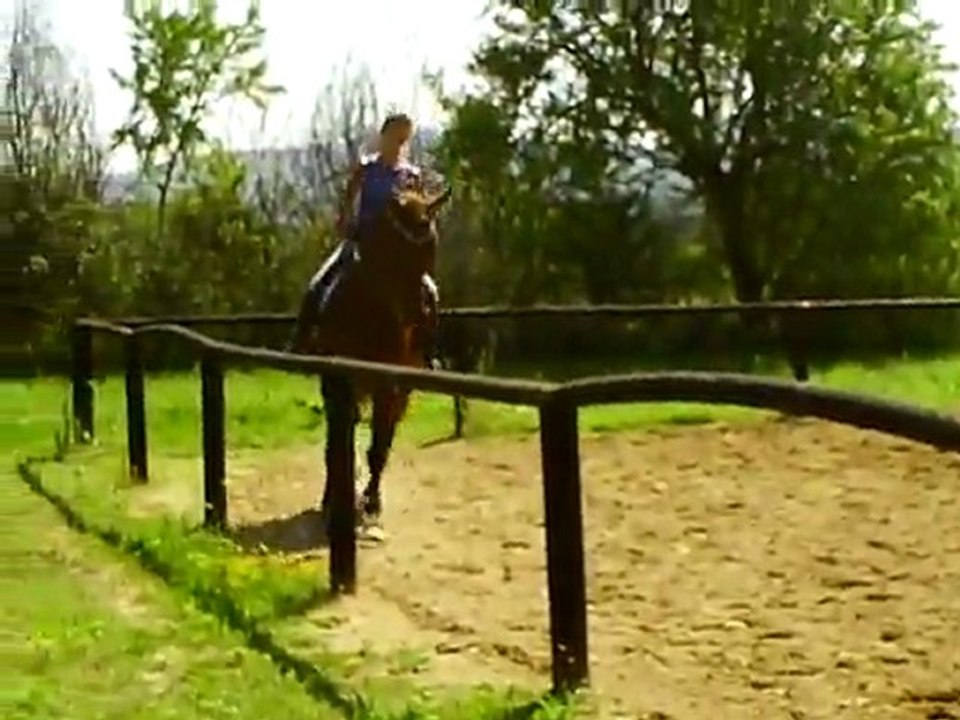 valse 4 galop G