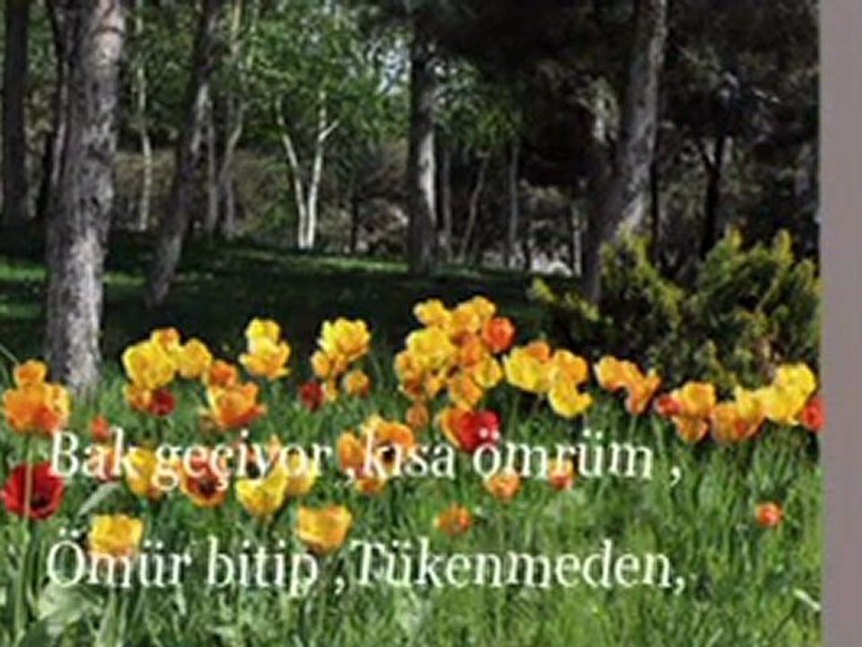 Deli Gönlüm - İlahi