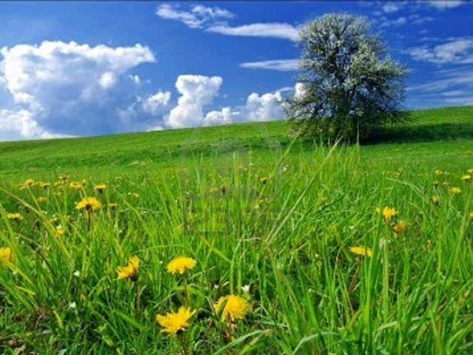 surat 114 khaled qahtani