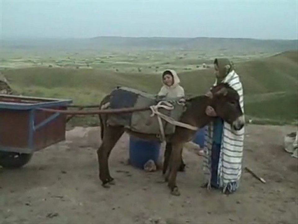 college Elbraksa