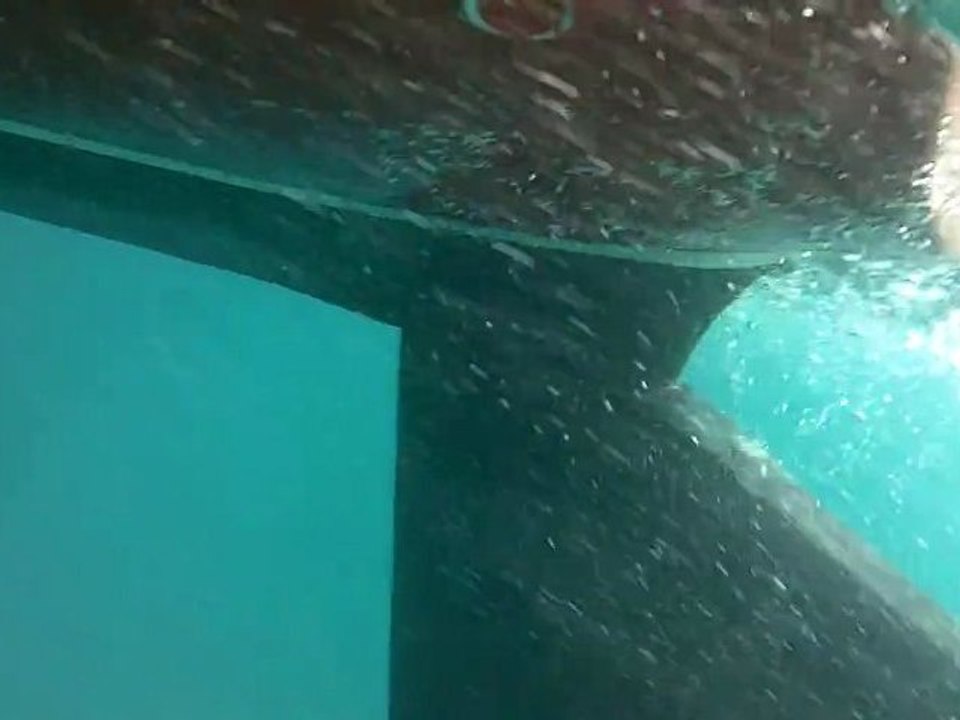 Sous le bateau