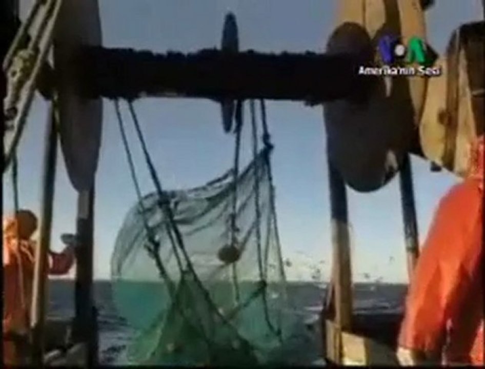 Damar tıkanıklığı