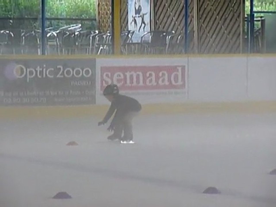 La chute du petit lion des glaces