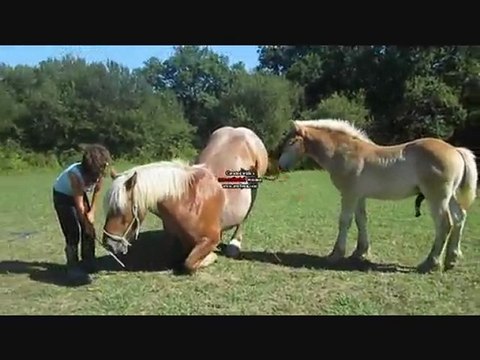 Elle fait de ma vie un rêve et d'un rêve une réalité