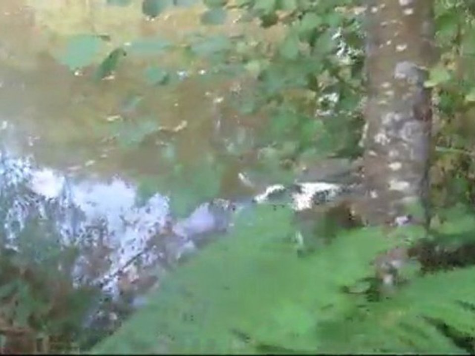 Ballade aquatique de Farah